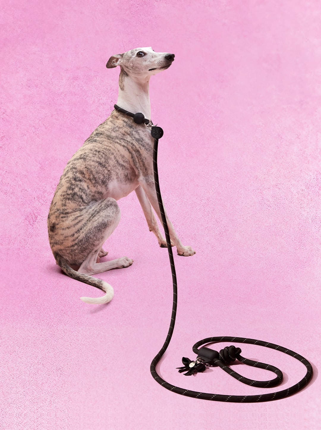 AURA Hands-Free Rope Leash – NOIR — close-up detail