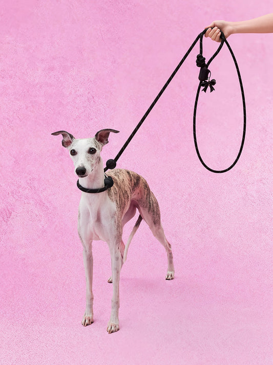AURA Hands-Free Rope Leash – NOIR — styled in a home setting