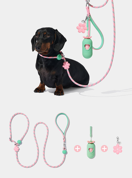 AURA Lite Walk Kit - MEADOW — styled in a home setting