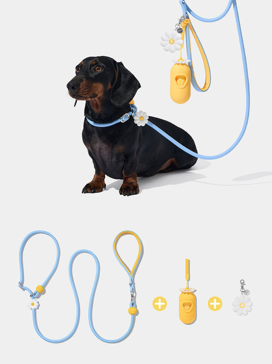 AURA Lite Walk Kit - PETAL — styled in a home setting