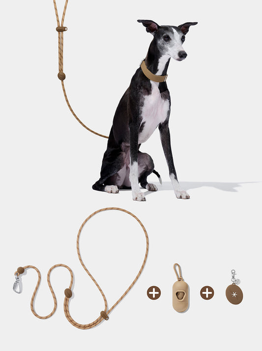 AURA Premium Classic Rope Leash Walk Kit - MOCHA — styled in a home setting