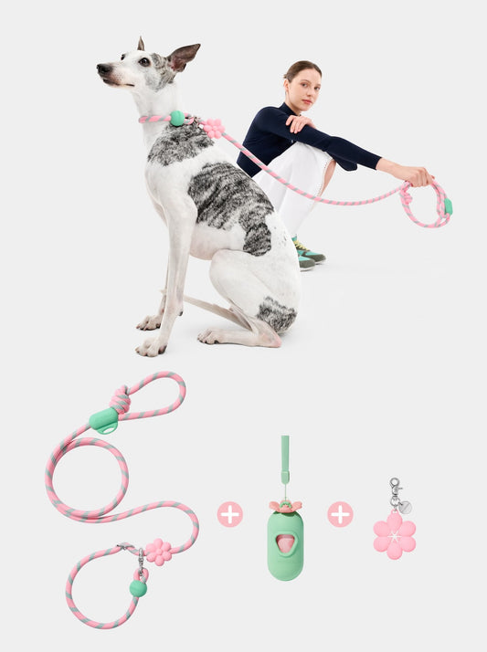 AURA WALK KIT - MEADOW — styled in a home setting
