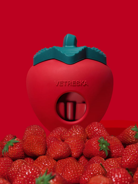 BERRY Pet Treat Dispensing Toy — styled in a home setting