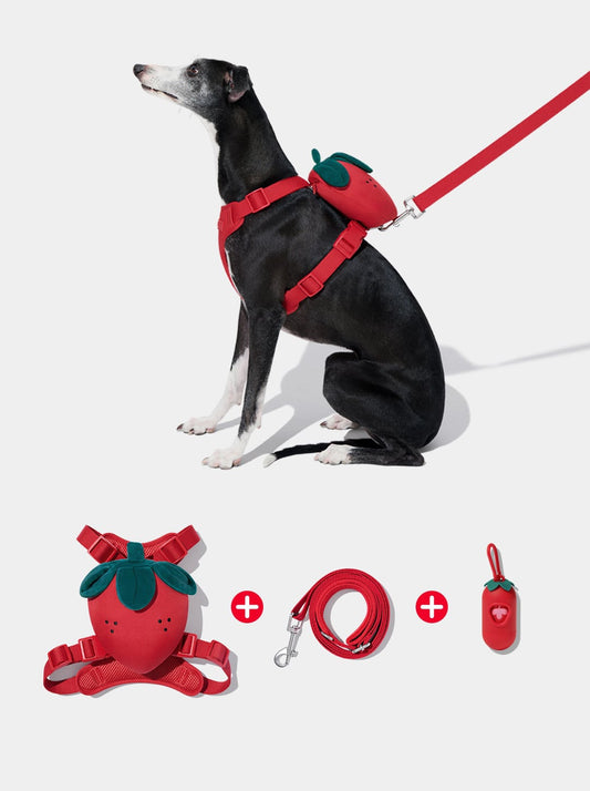BERRY Pet Walk Kit — styled in a home setting