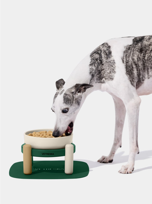 CEDAR Ceramic Pet Bowl & Mat Set — styled in a home setting