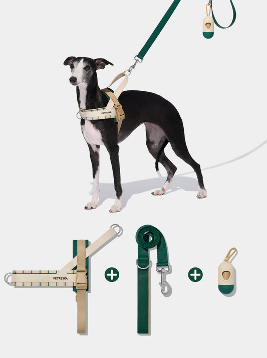 CEDAR Pet Walk Kit — styled in a home setting