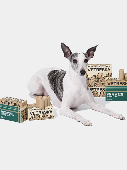 CEDAR Poop Bags — styled in a home setting