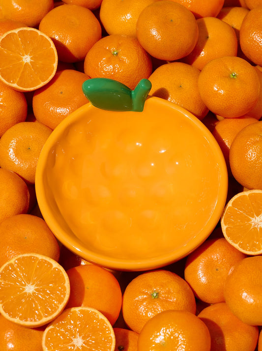 CITRUS Ceramic Pet Bowl — styled in a home setting