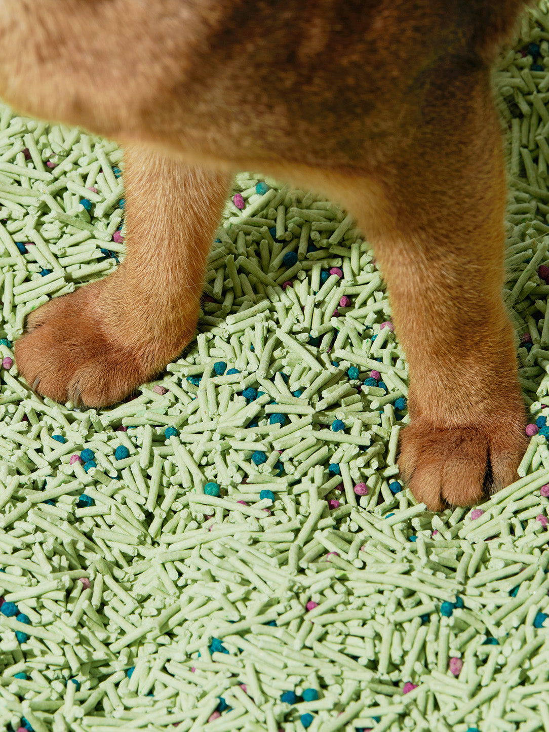 Green Tea Scented Tofu Cat Litter — alternative angle