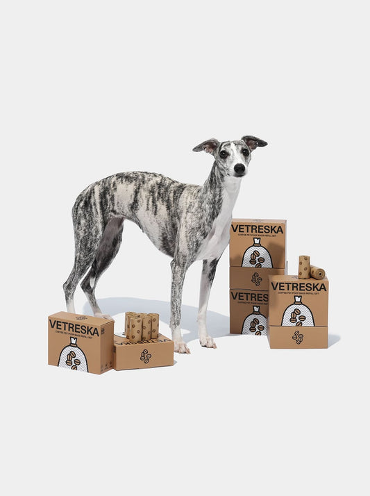 MOCHA Poop Bags — styled in a home setting