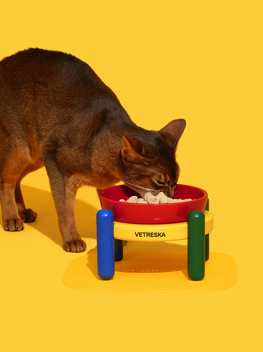 PRISM Ceramic Pet Bowl & Mat Set (2) — styled in a home setting