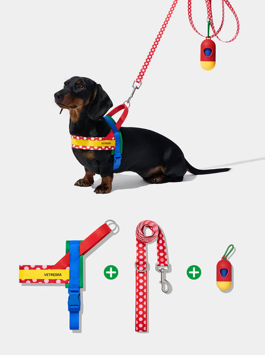 PRISM Pet Walk Kit — Red — styled in a home setting