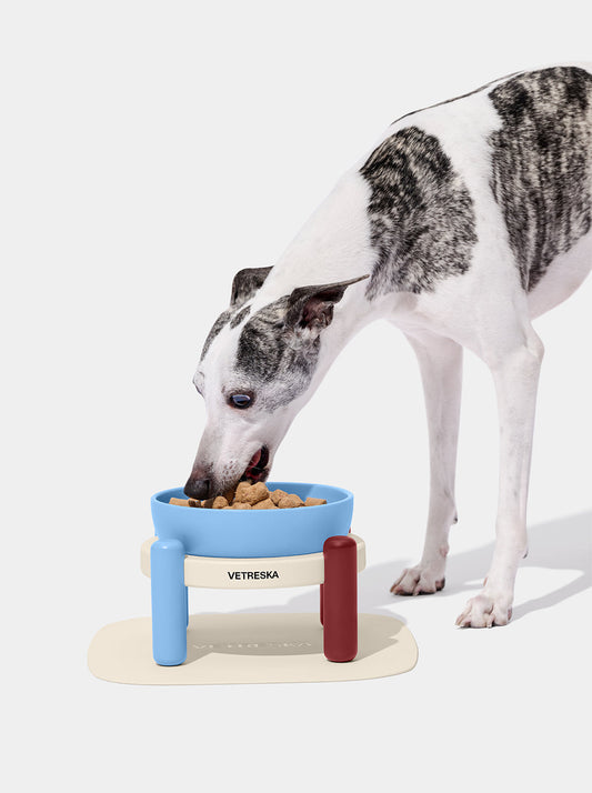 VELVET Pet Bowl & Mat Set (2) — styled in a home setting