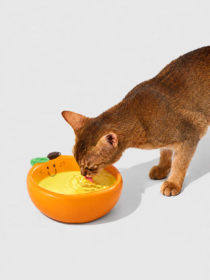 Sunny Orange Ceramic Pet Bowl