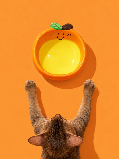 Sunny Orange Ceramic Pet Bowl