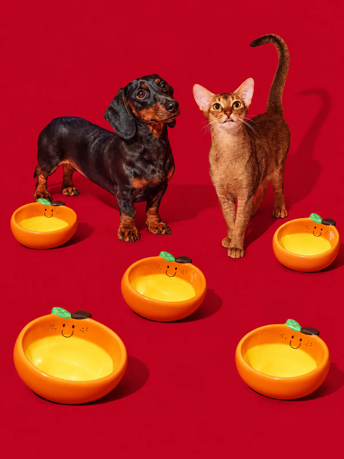 Sunny Orange Ceramic Pet Bowl