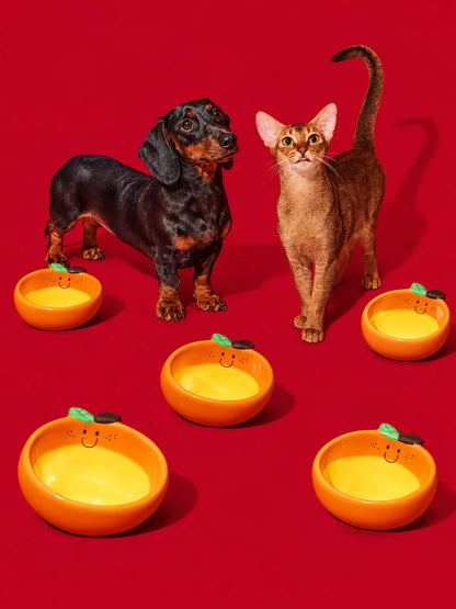 Sunny Orange Ceramic Pet Bowl