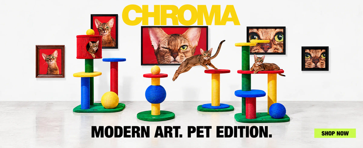 Explore colourful cat scratchers