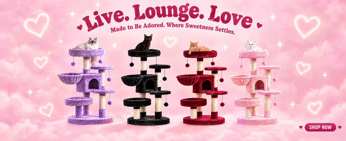 Explore the Live Lounge Love campaign