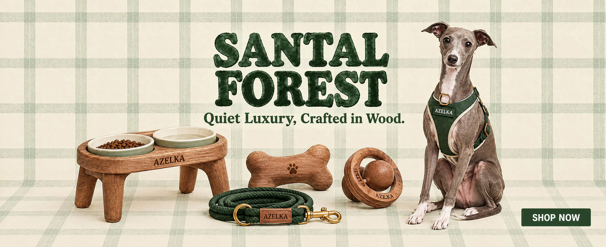 Explore the Santal Forest campaign