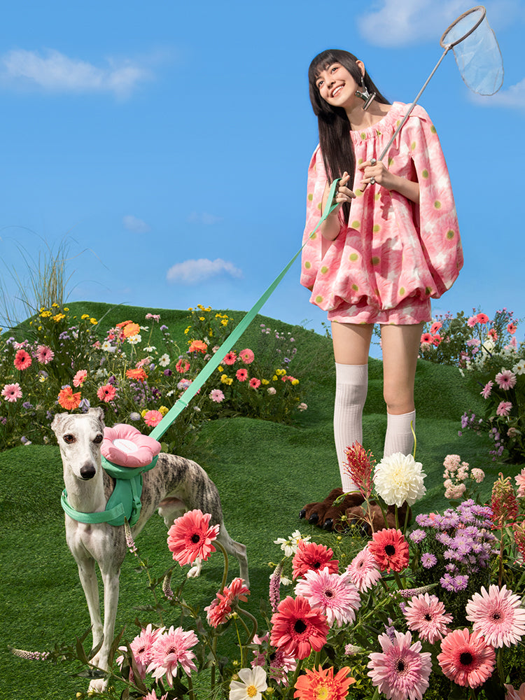 MEADOW