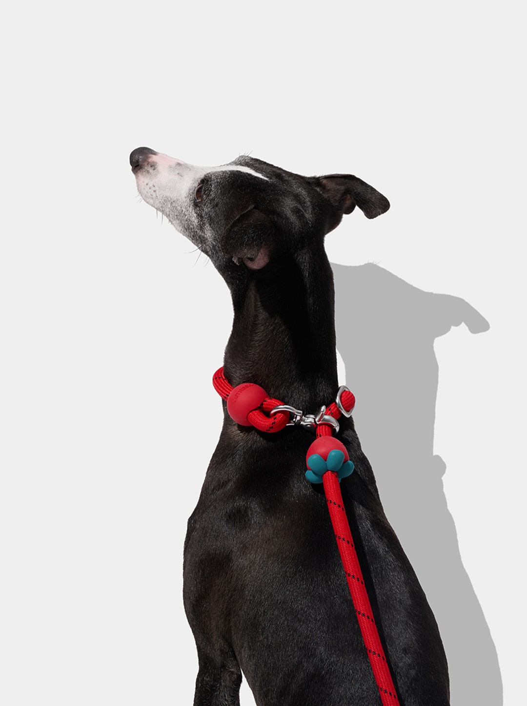 AURA Hands-Free Rope Leash - BERRY — in use
