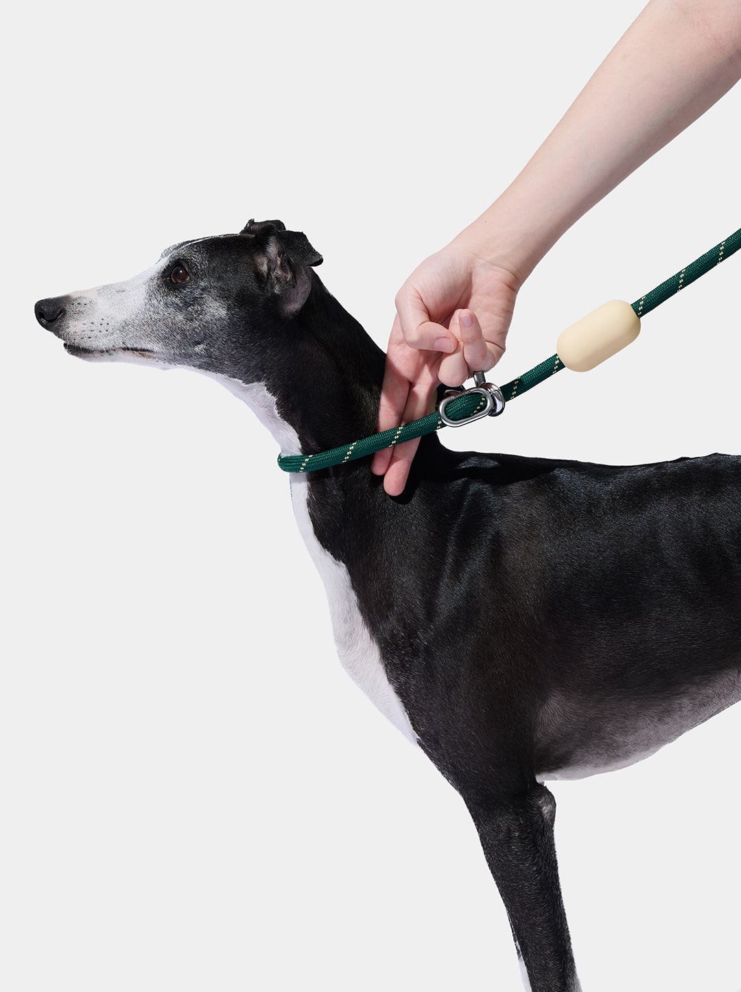 AURA Hands-Free Rope Leash – CEDAR — close-up detail