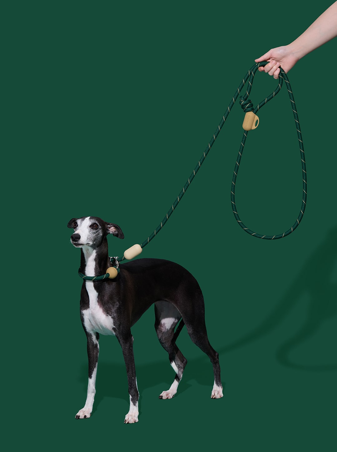 AURA Hands-Free Rope Leash – CEDAR — styled in a home setting
