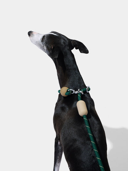 AURA Hands-Free Rope Leash – CEDAR — in use