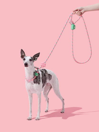 AURA Hands-Free Rope Leash - MEADOW — styled in a home setting