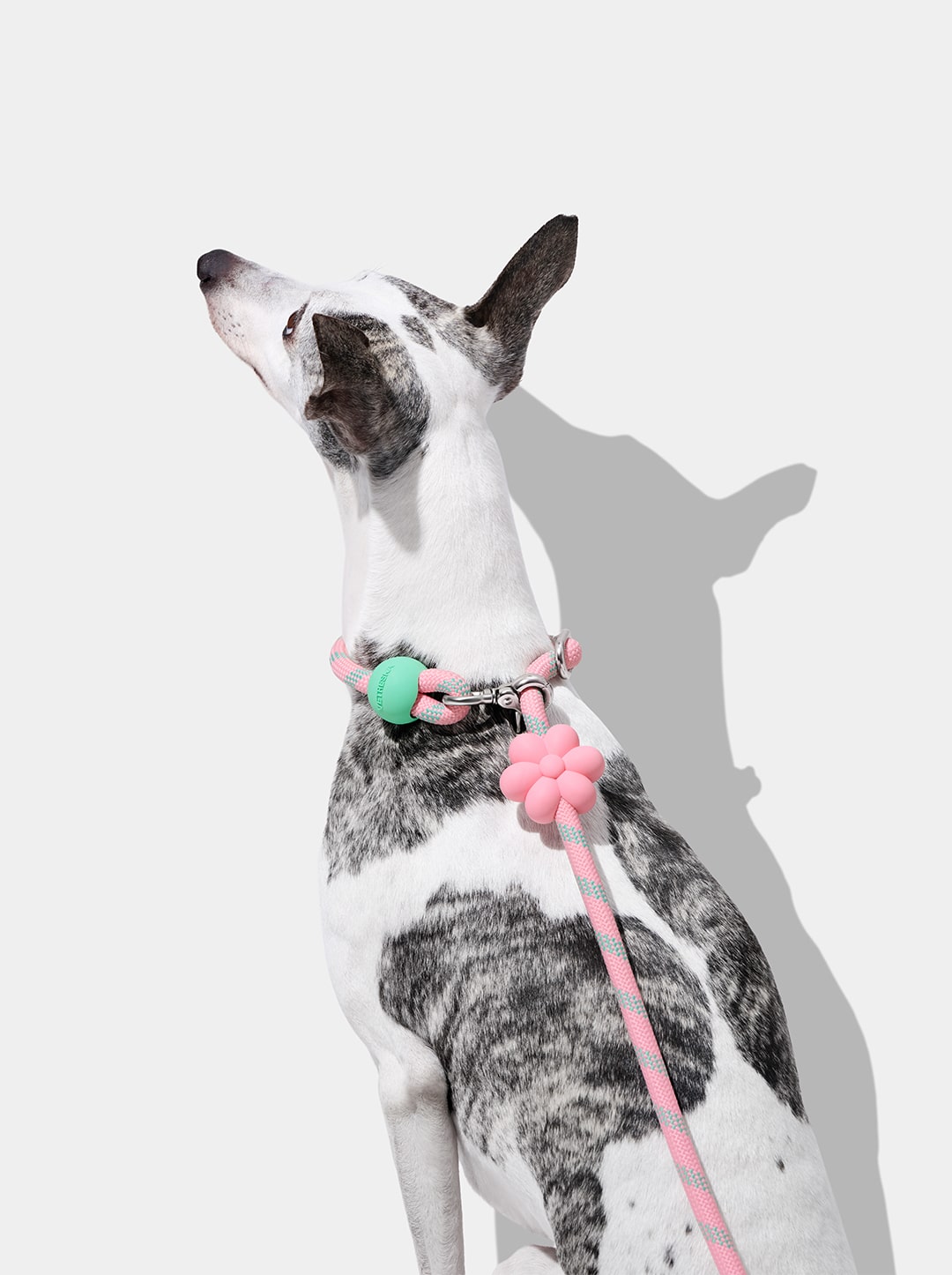 AURA Hands-Free Rope Leash - MEADOW — in use