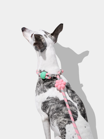 AURA Hands-Free Rope Leash - MEADOW — in use
