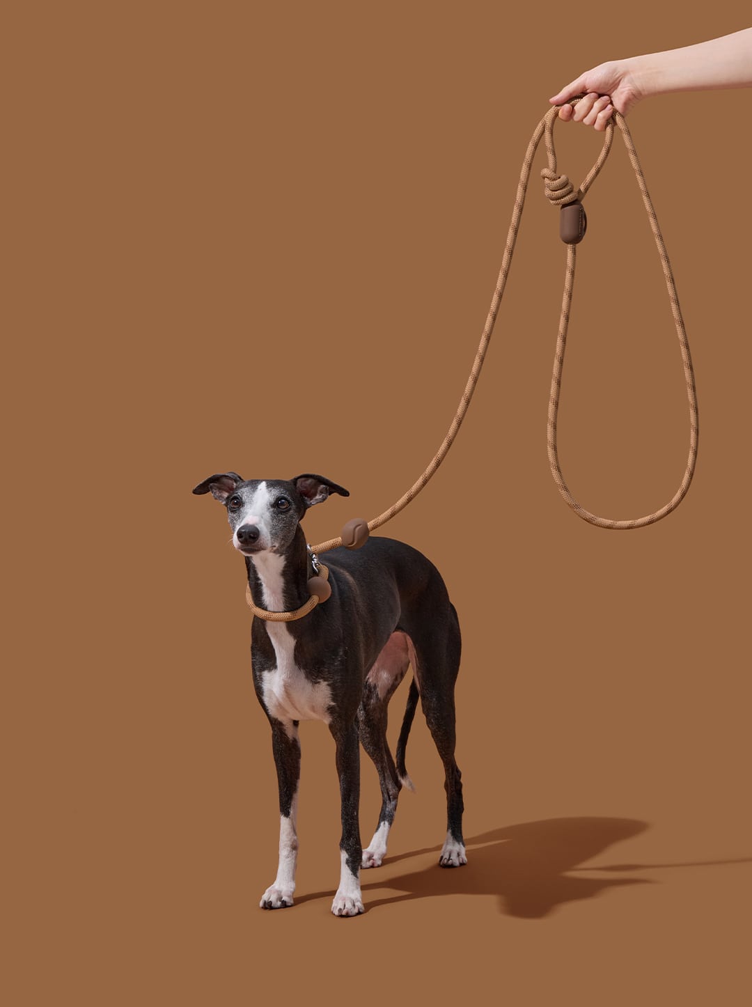 AURA Hands-Free Rope Leash - MOCHA — styled in a home setting