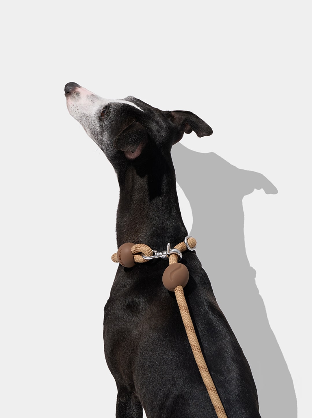 AURA Hands-Free Rope Leash - MOCHA — in use