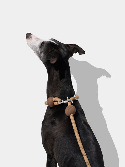 AURA Hands-Free Rope Leash - MOCHA — in use