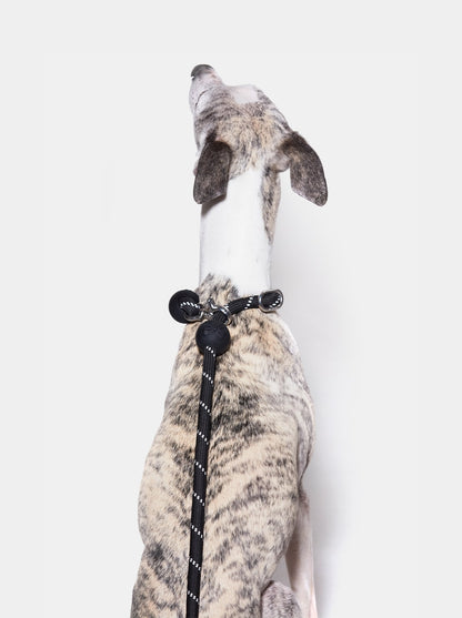 AURA Hands-Free Rope Leash – NOIR — in use