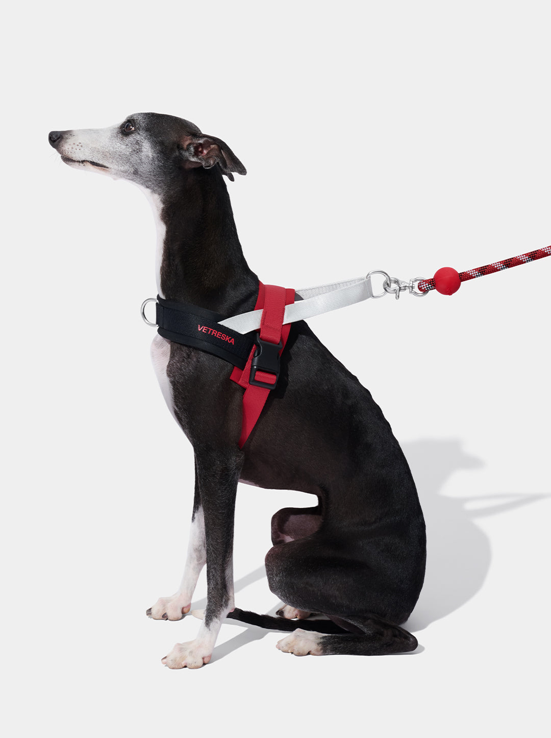AURA Hands-Free Rope Leash - ORBIT — close-up detail