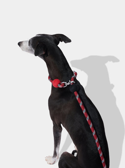 AURA Hands-Free Rope Leash - ORBIT — in use