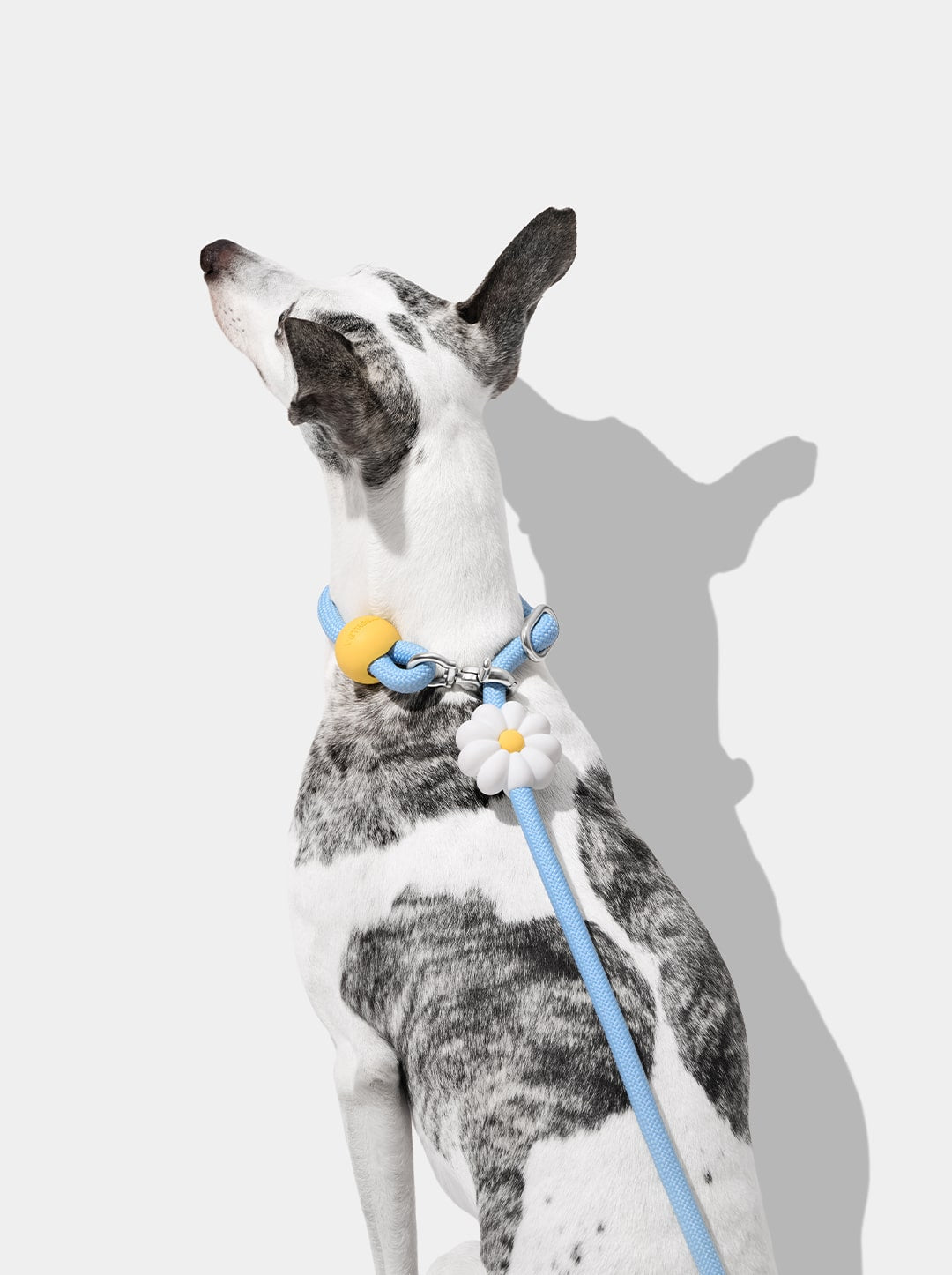 AURA Hands-Free Rope Leash - PETAL — in use