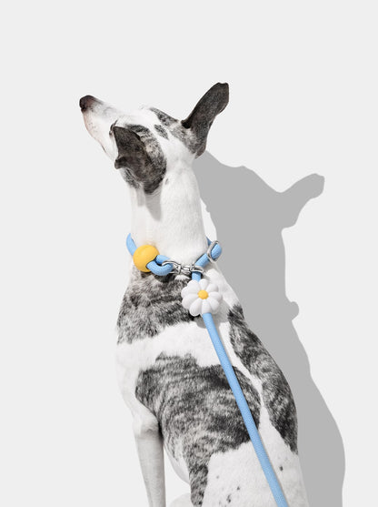 AURA Hands-Free Rope Leash - PETAL — in use