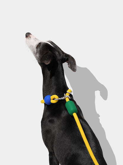 AURA Hands-Free Rope Leash - PRISM — in use
