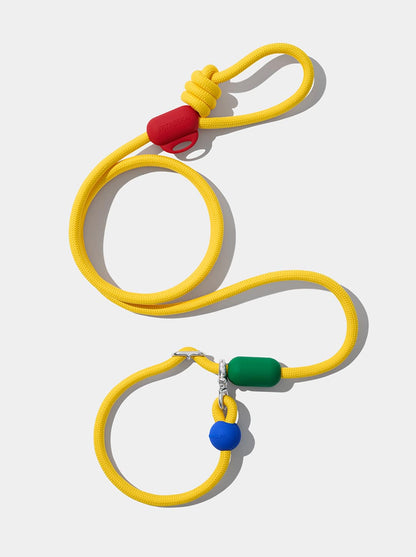 AURA Hands-Free Rope Leash - PRISM — main product photo