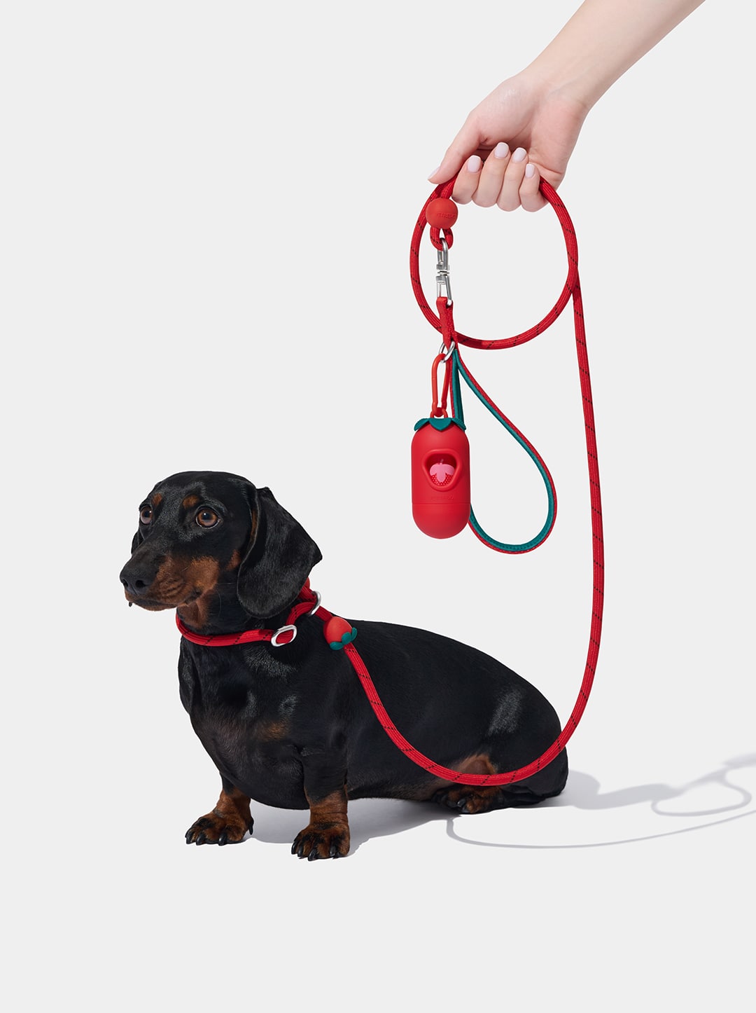 AURA Lite Rope Leash - BERRY — alternative angle