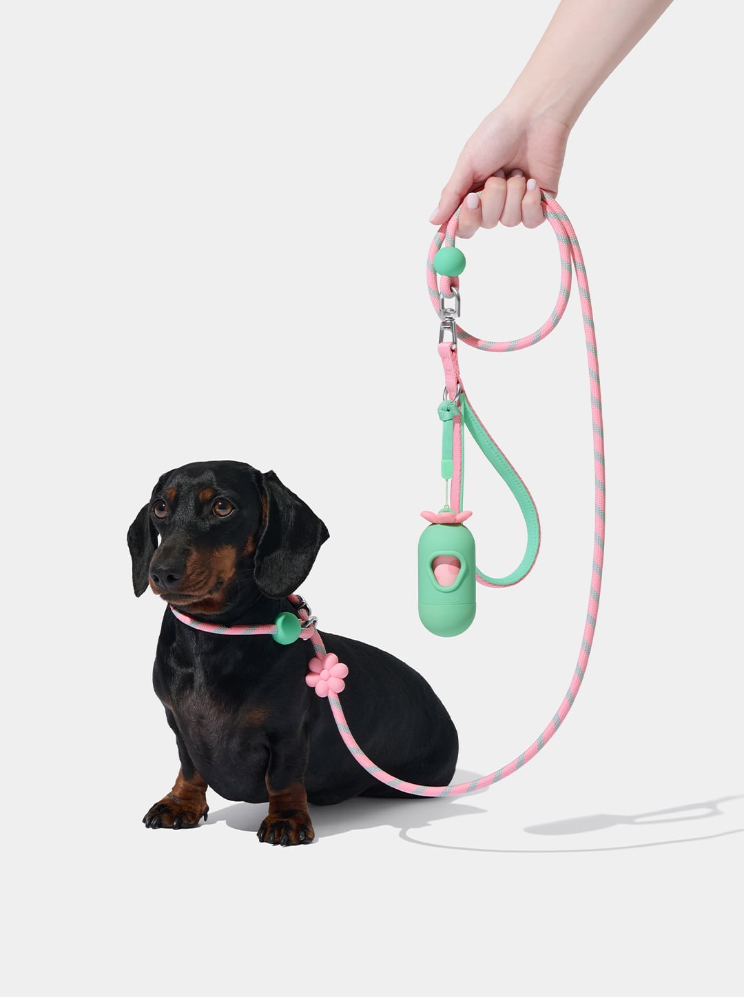 AURA Lite Rope Leash - MEADOW — alternative angle