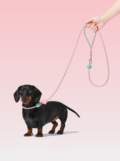 AURA Lite Rope Leash - MEADOW — styled in a home setting