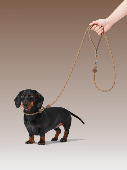 AURA Lite Rope Leash - MOCHA — styled in a home setting