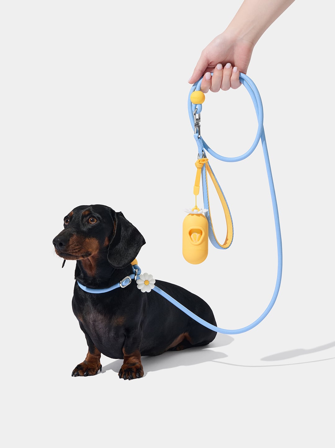 AURA Lite Rope Leash - PETAL — alternative angle