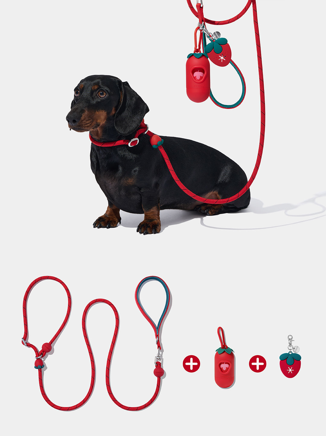 AURA Lite Walk Kit - BERRY — styled in a home setting