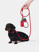 AURA Lite Walk Kit - BERRY — main product photo