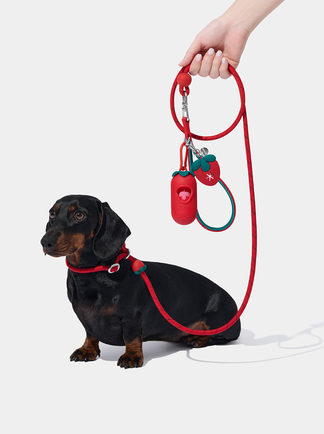 AURA Lite Walk Kit - BERRY — main product photo